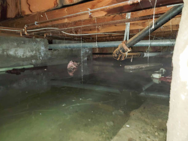 Best Basement water damage restoration  in West Jordan, UT