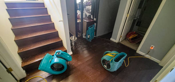 Best Fire Damage Restoration  in West Jordan, UT