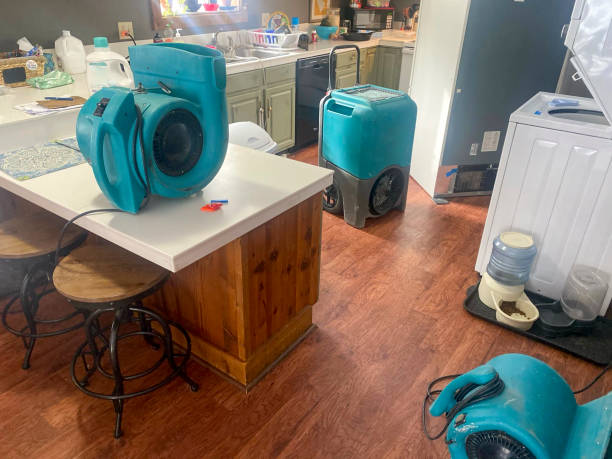 Best Flooded house restoration  in West Jordan, UT