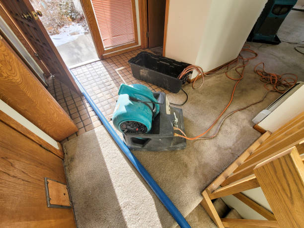 Best Ceiling water damage repair  in West Jordan, UT