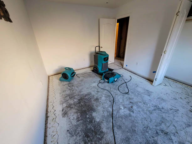 Best Professional water damage repair  in West Jordan, UT