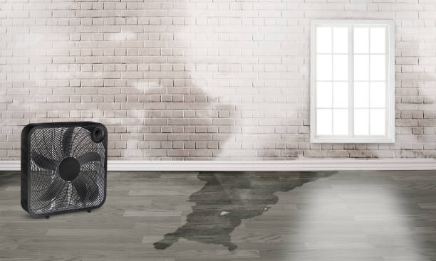 West Jordan, UT Water damage restoration Company