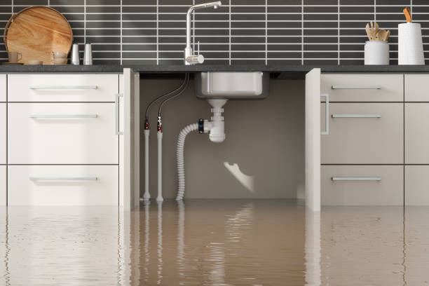 Best Sewage cleanup and water damage restoration  in West Jordan, UT