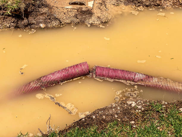 Professional Water damage restoration in West Jordan, UT