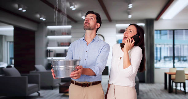 Best Carpet water damage restoration  in West Jordan, UT