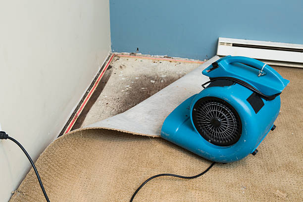 Best Water damage contractors near me  in West Jordan, UT
